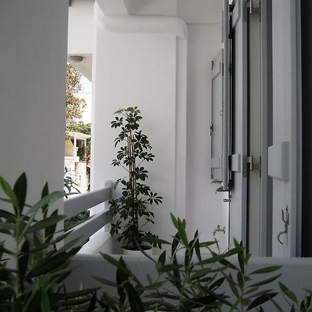 Aelia Apartments Naxos City Dış mekan fotoğraf