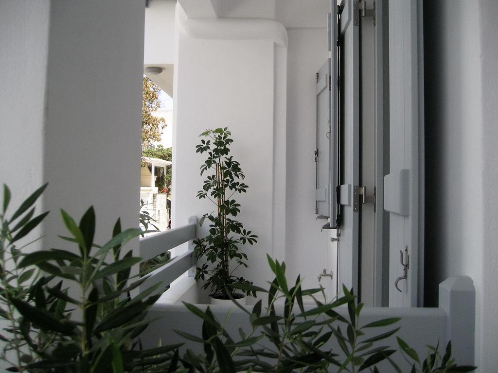 Aelia Apartments Naxos City Dış mekan fotoğraf